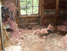 Squirrel-damaged attic
