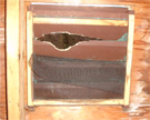 Squirrel-damaged vent in Reading MA, (view from inside)